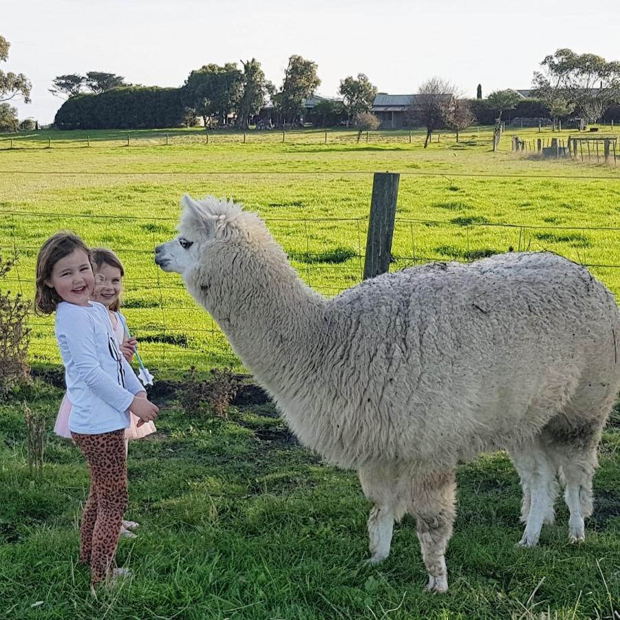 Clonmara Country House And Cottages 포트페어리 외부 사진
