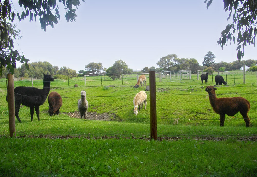 Clonmara Country House And Cottages 포트페어리 외부 사진