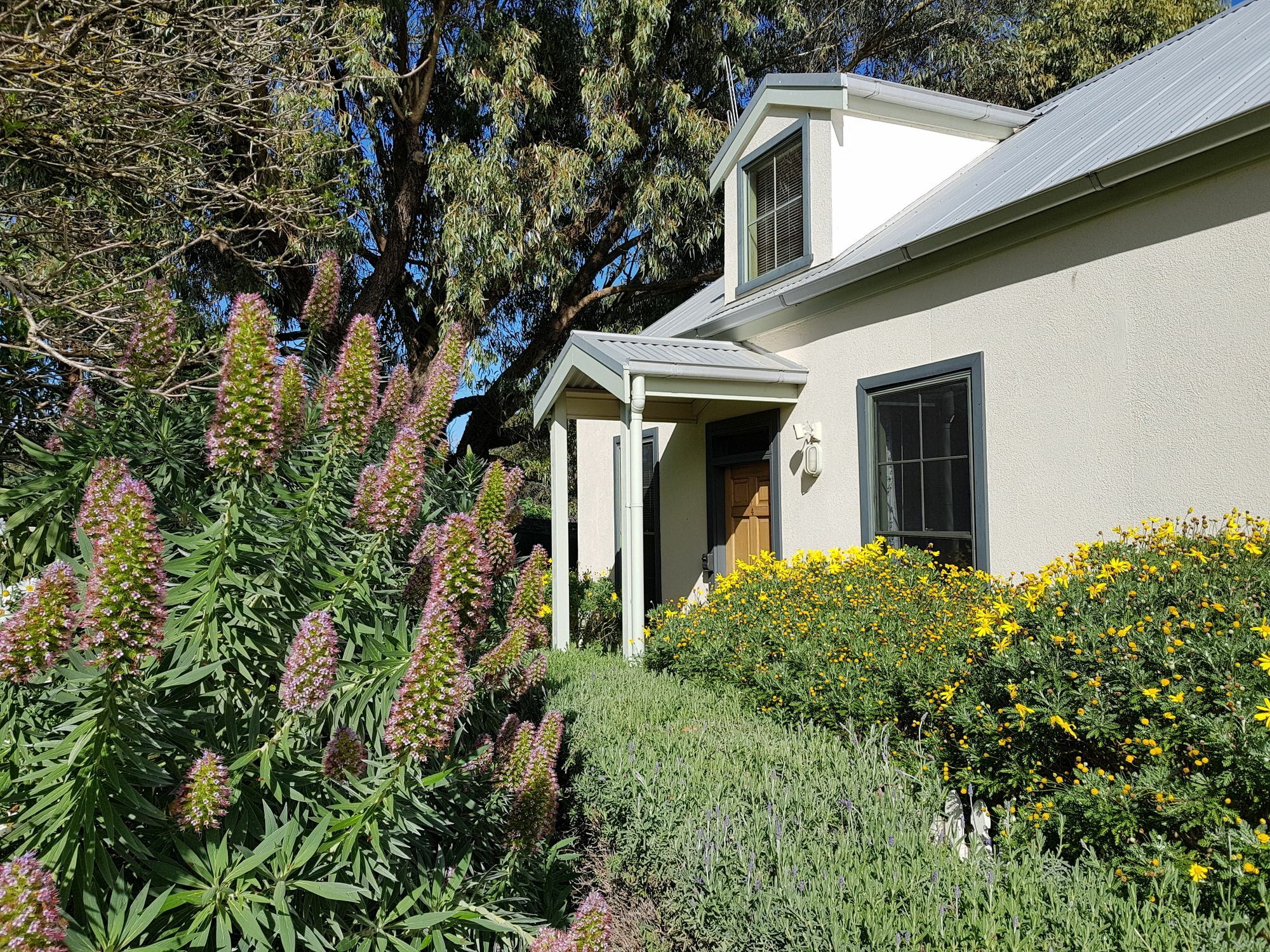Clonmara Country House And Cottages 포트페어리 외부 사진
