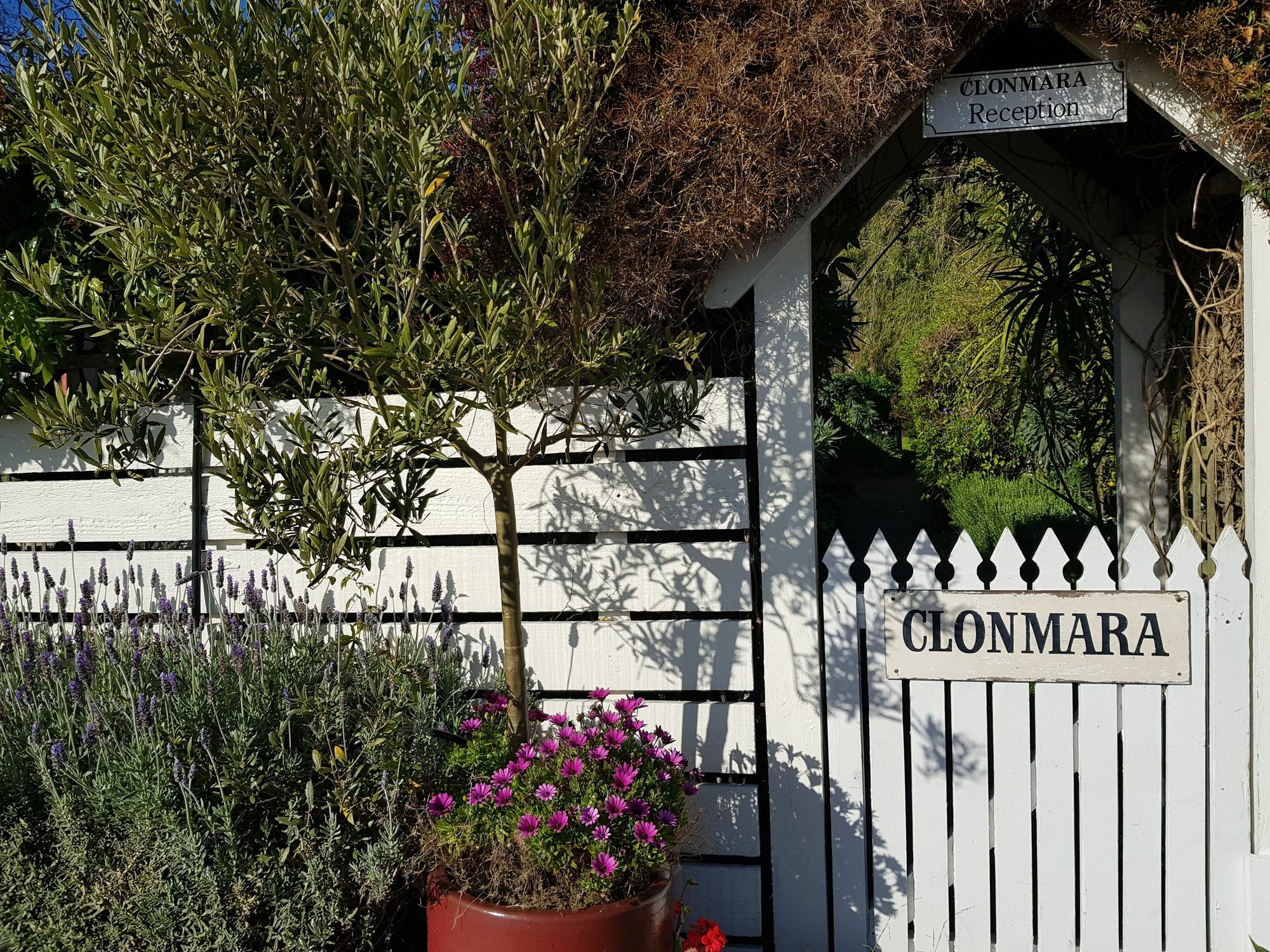 Clonmara Country House And Cottages 포트페어리 외부 사진